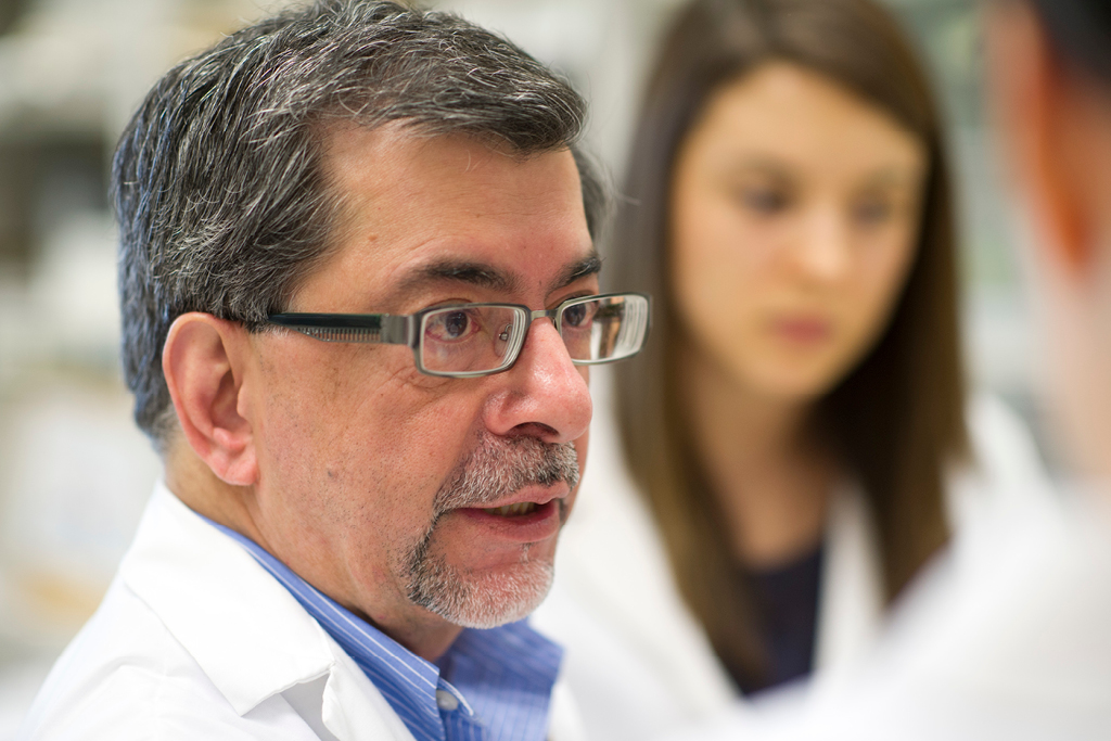 Dr. Jack Jhamandas and his team are developing small molecule drugs to treat Alzheimer’s